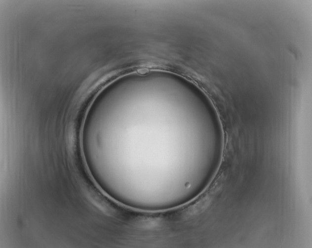 X0000114030247200910091440