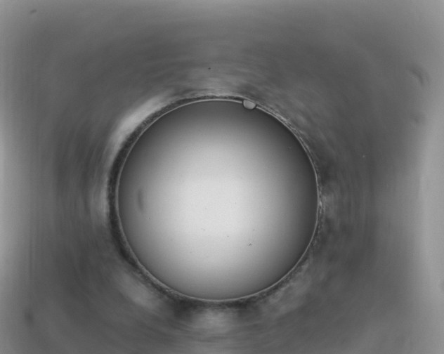 X0000114030248200910091440