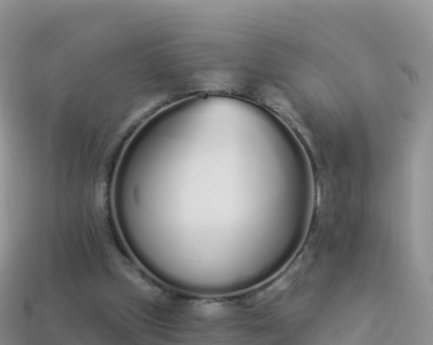 X0000114030249200910091440