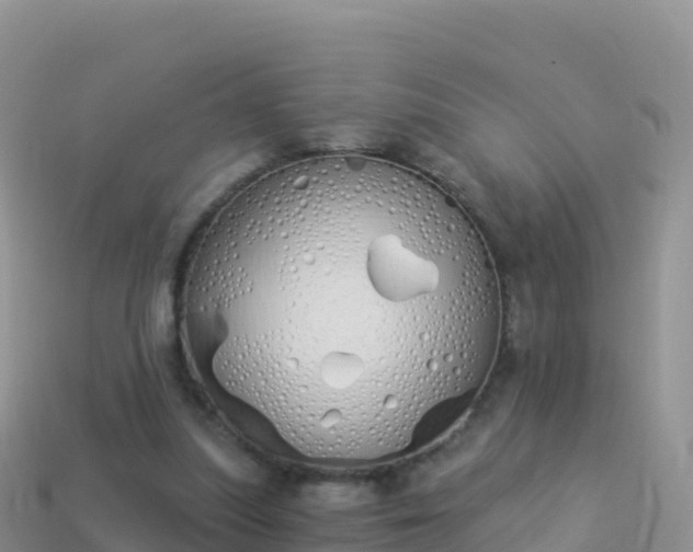 X0000114030251200910091440