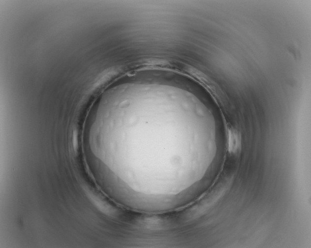 X0000114030253200910091440