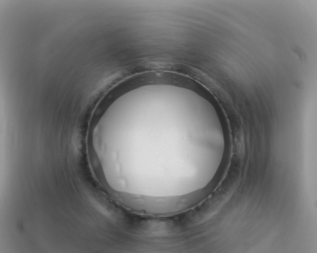 X0000114030255200910091440