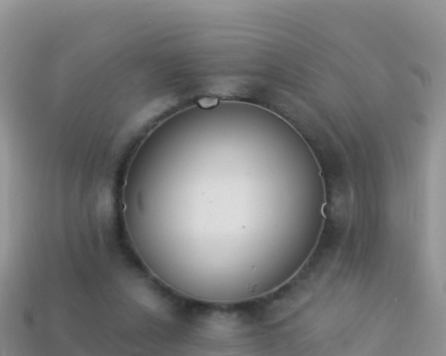 X0000114030256200910091440