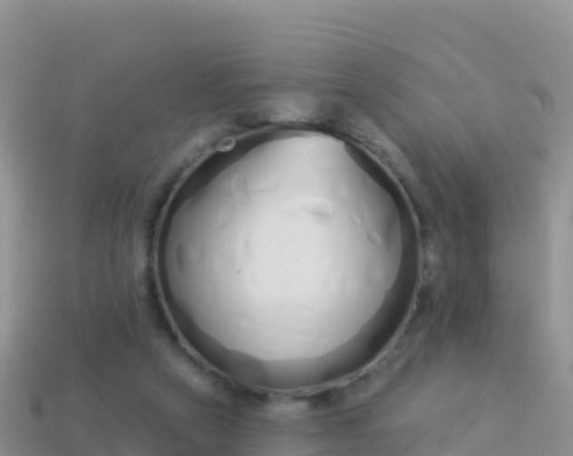 X0000114030257200910091440