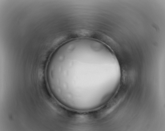 X0000114030259200910091440