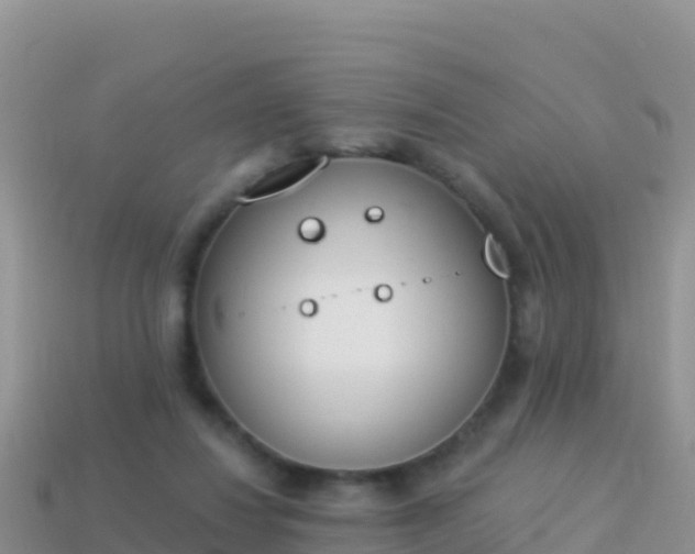 X0000114030260200910091440