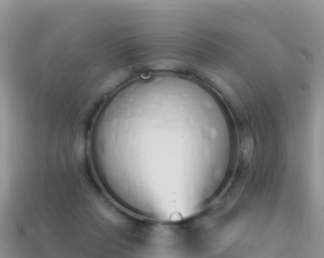 X0000114030261200910091440