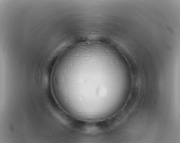 X0000114030262200910091440