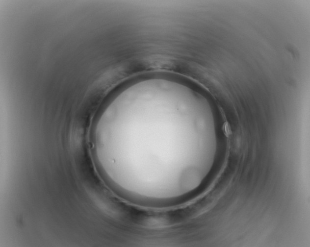 X0000114030263200910091440