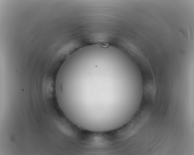 X0000114030264200910091440