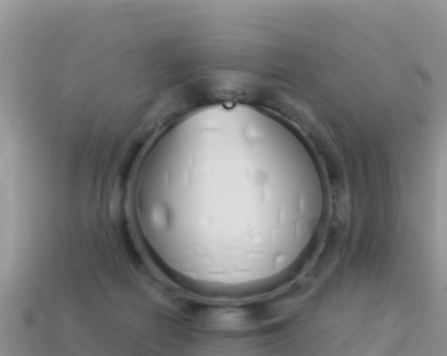 X0000114030266200910091440