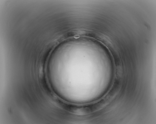 X0000114030267200910091440