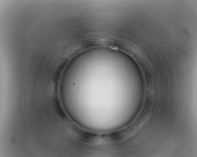 X0000114030270200910091440