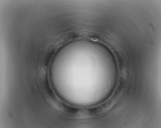 X0000114030271200910091440