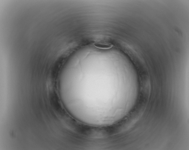 X0000114030272200910091440