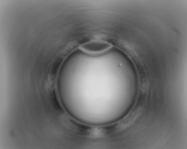 X0000114030273200910091440