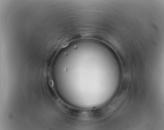 X0000114030277200910091440