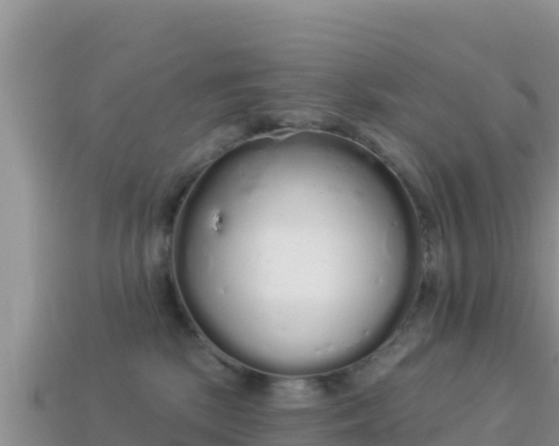 X0000114030281200910091441