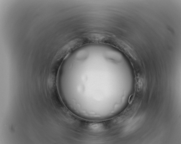 X0000114030283200910091441