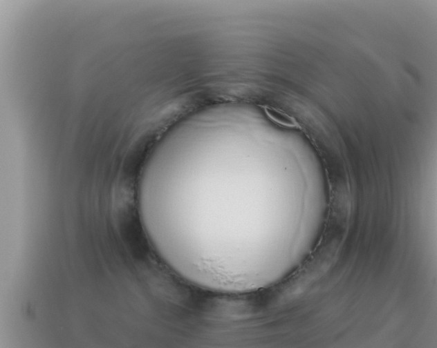 X0000114030284200910091441