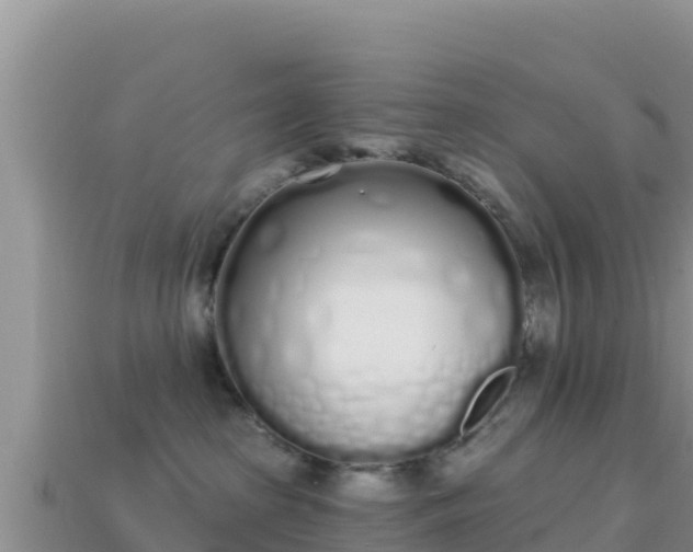 X0000114030285200910091441