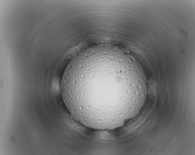 X0000114030287200910091441