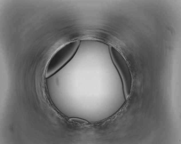 X0000114030289200910091440