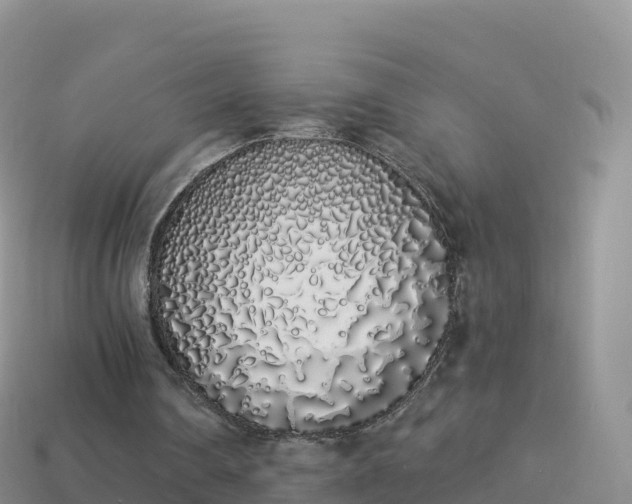 X0000114030290200910091440