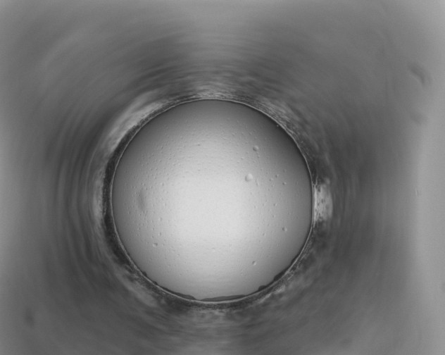 X0000114030291200910091440