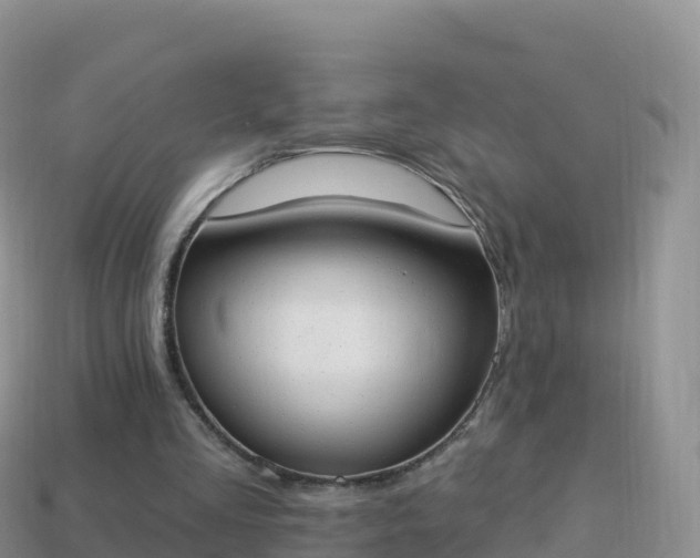 X0000114030293200910091440