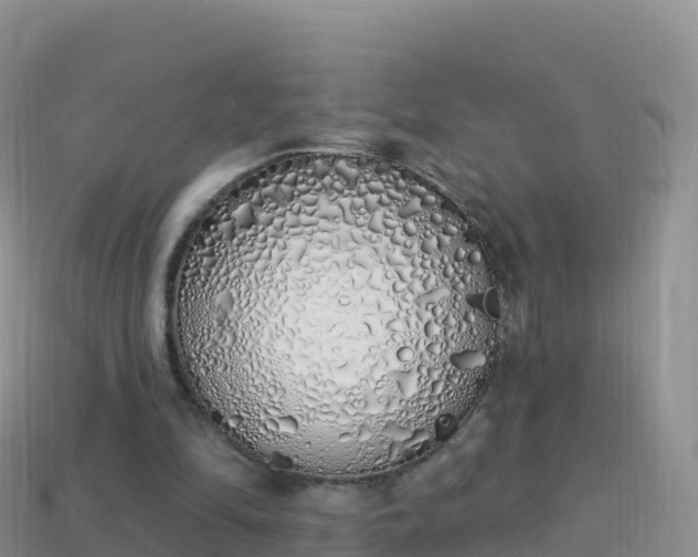 X0000114030294200910091440