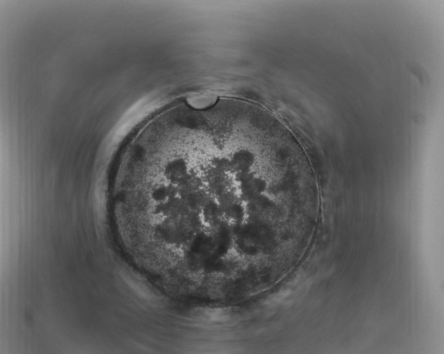 X0000114030295200910091440