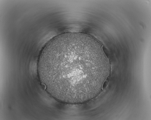 X0000114030297200910091440