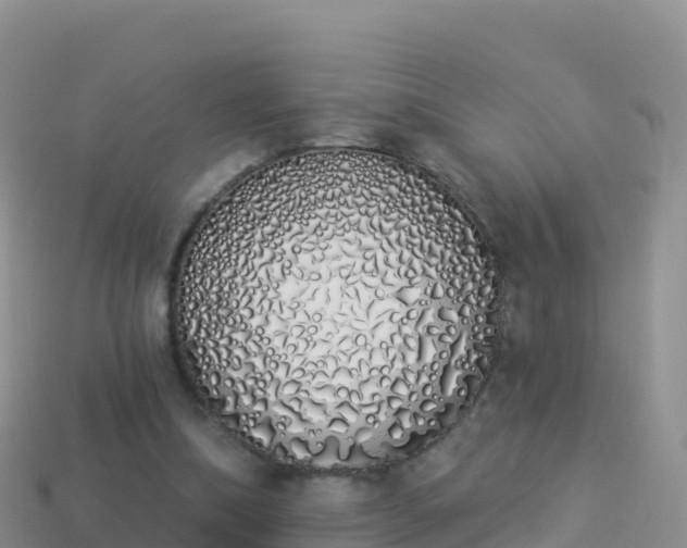 X0000114030298200910091440