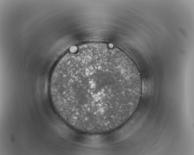 X0000114030301200910091440