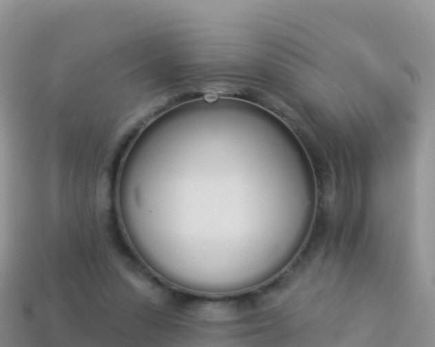 X0000114030303200910091440