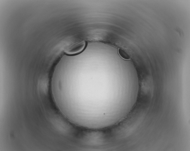 X0000114030304200910091440