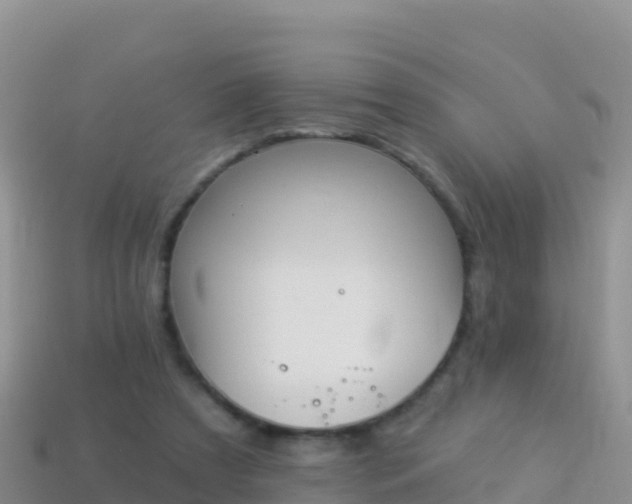 X0000114030305200910091440