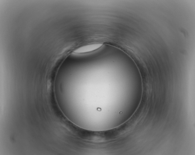 X0000114030308200910091440