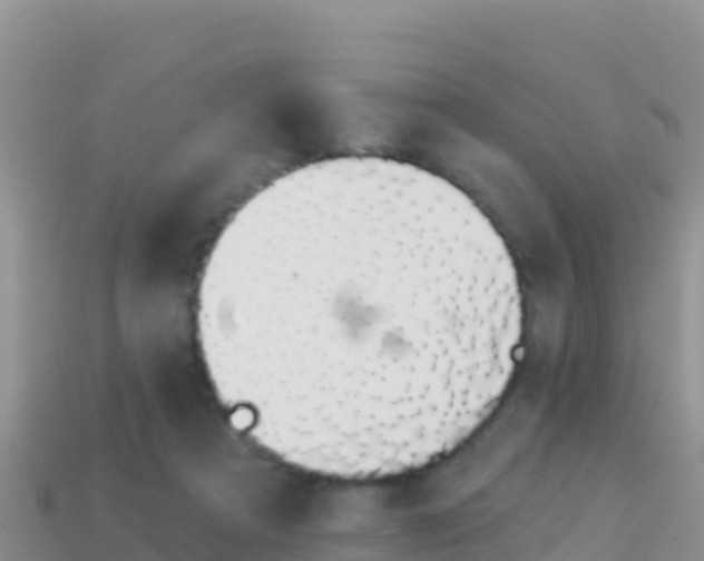 X0000114030313200910091439