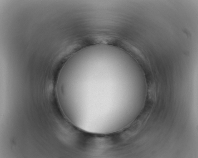 X0000114030314200910091439