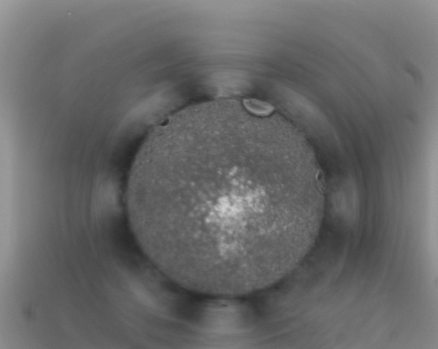 X0000114030316200910091439