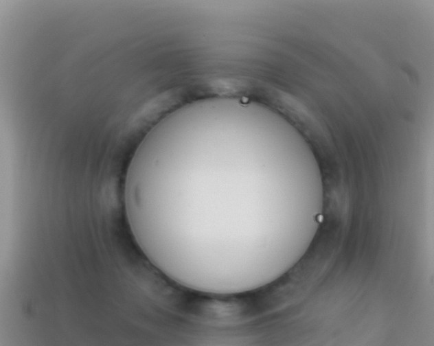 X0000114030317200910091439