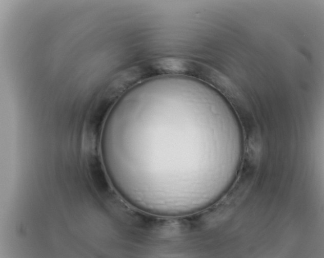 X0000114030330200910091439