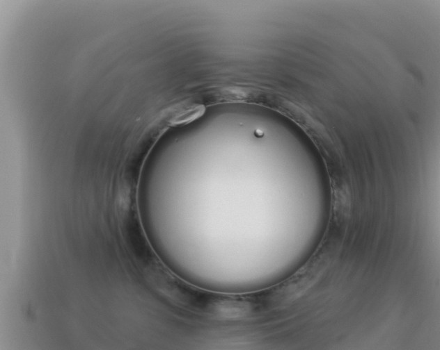 X0000114030331200910091439