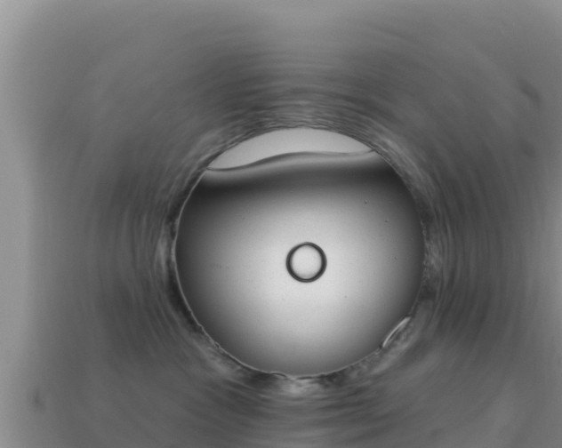 X0000114030333200910091439