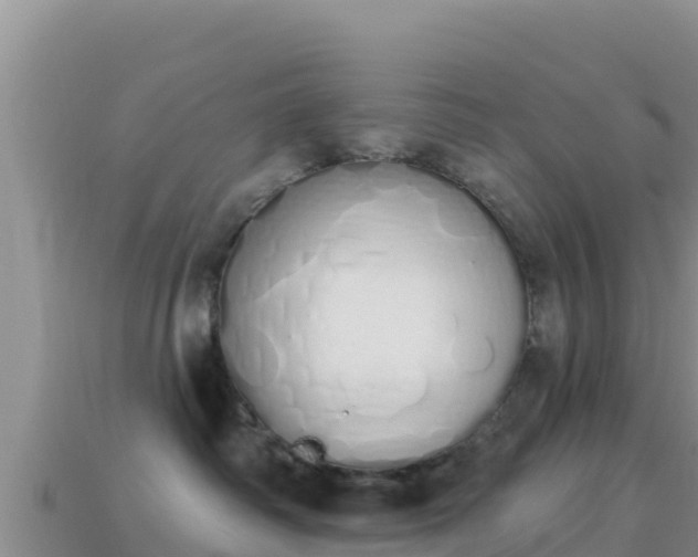 X0000114030334200910091439