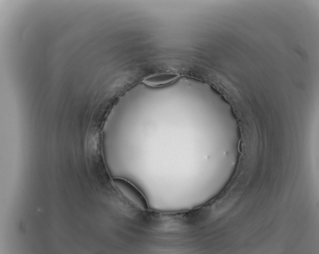 X0000114030336200910091439