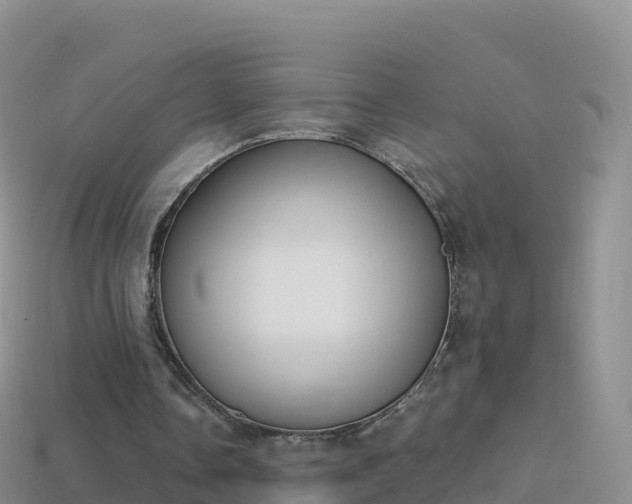 X0000114030338200910091439