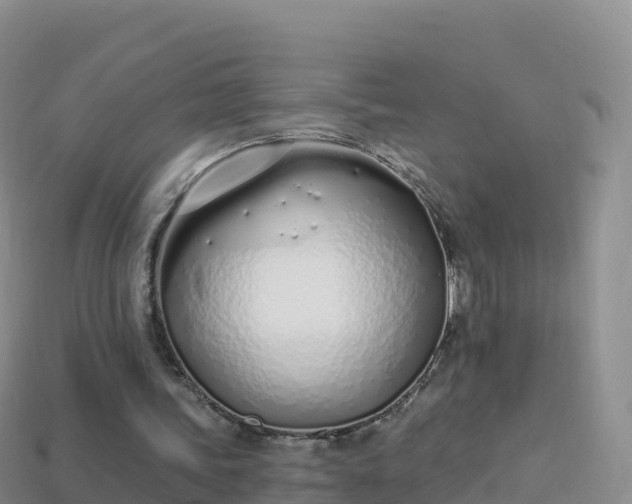 X0000114030339200910091439